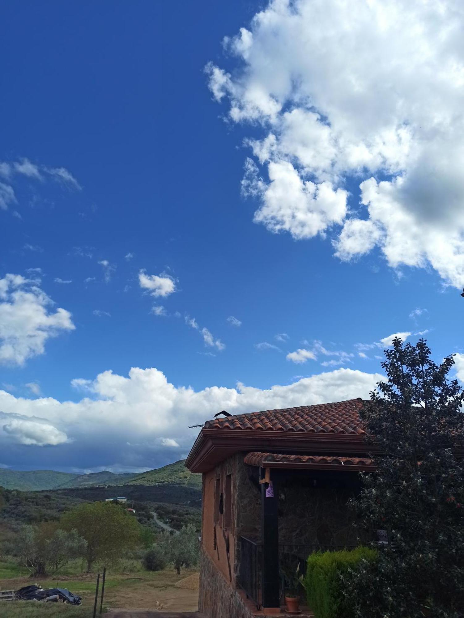 Casa Rural Los Olivos Sotoserrano Exterior foto